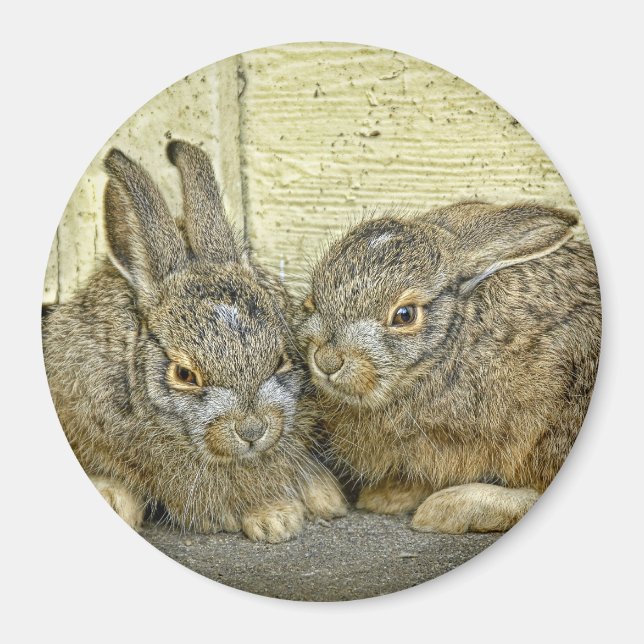 Zaubermagazin "Bunny Babies" Magnet (Vorne)