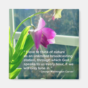 Zaubermagazin Magnet