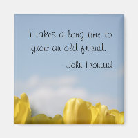 Zaubermagnet für Freundschaften