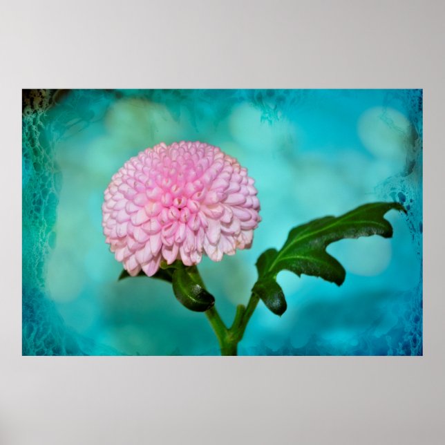 ZauberŌ Blüte Poster (Vorne)