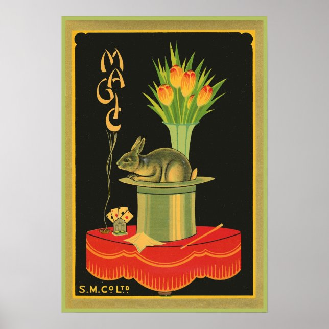 Zaubertricks Poster (Vorne)