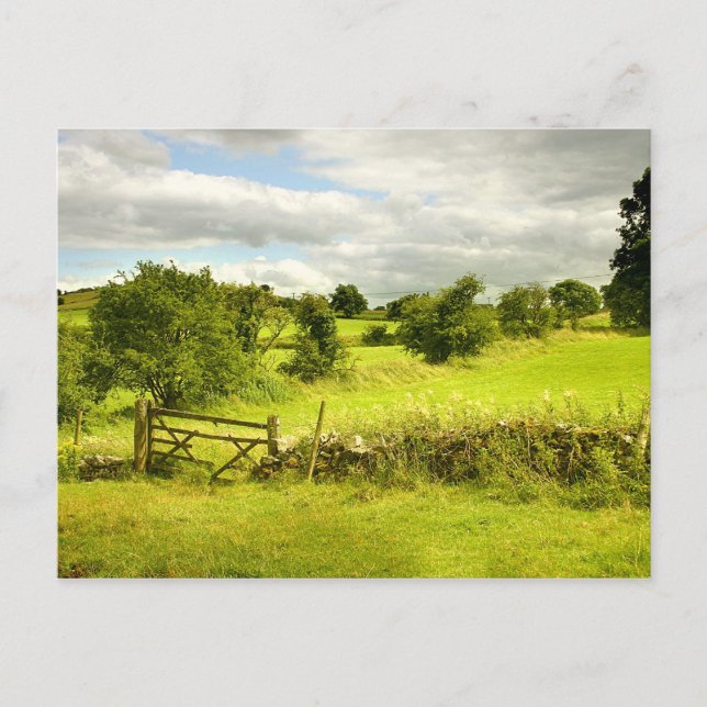 Zaun, Felder und Wiesen Postkarte (Vorderseite)