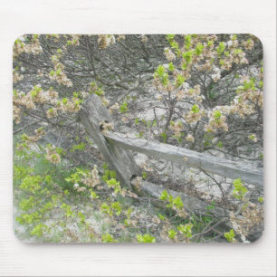 Zaun gegen Dunes IBSP Mousepad