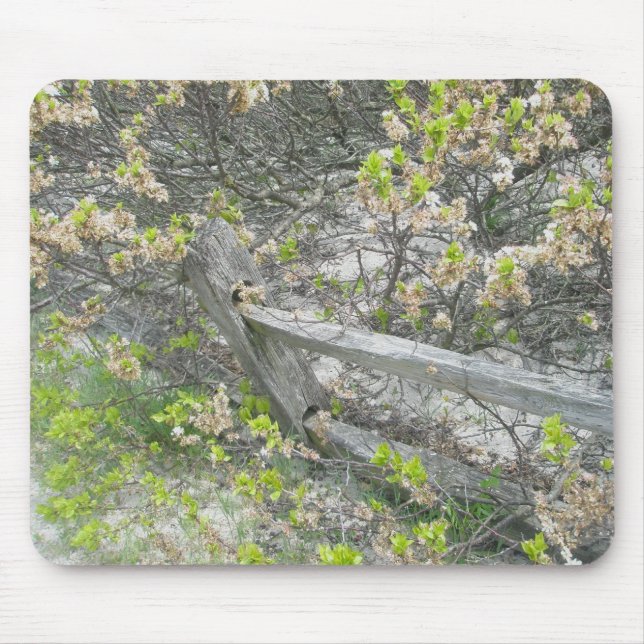 Zaun gegen Dunes IBSP Mousepad (Vorne)