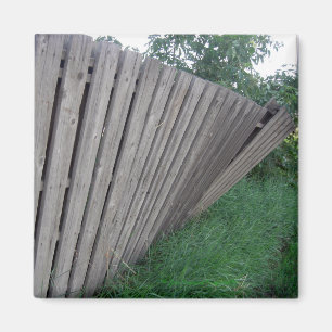 Zaun Magnet