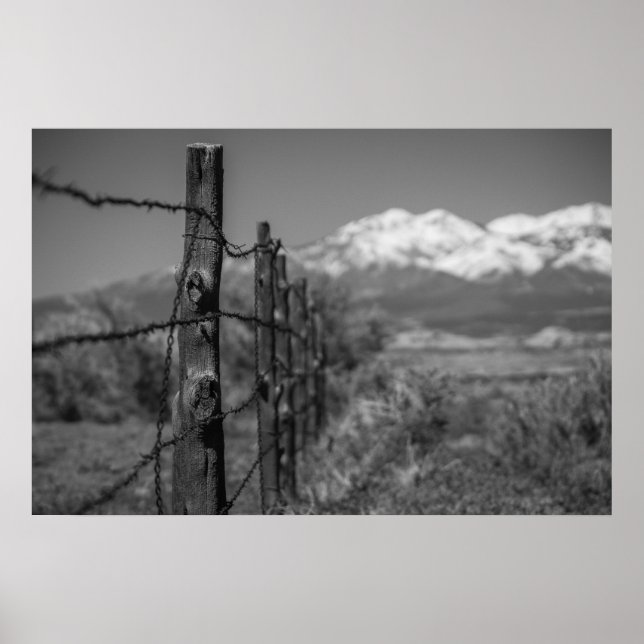 Zaun Poster (Vorne)
