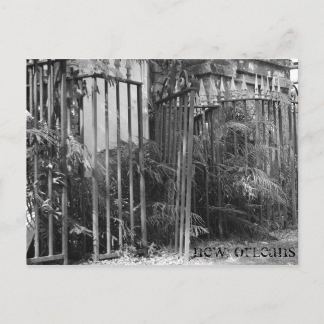 Zaun Postkarte (Vorderseite)