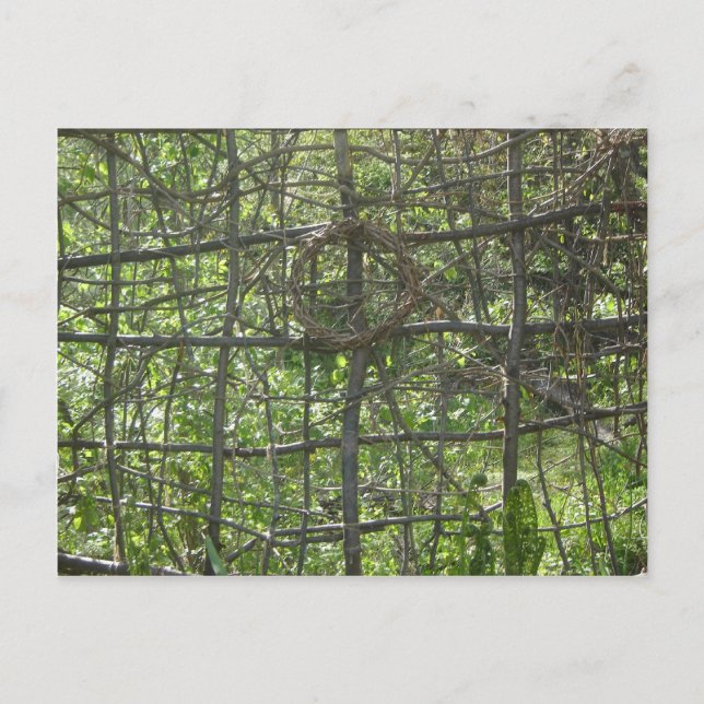 Zaun Postkarte (Vorderseite)