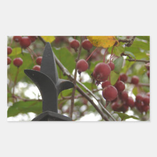 Zaun und Crabapples Rechteckiger Aufkleber
