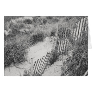 "Zaun- und Dünen" Sammlung