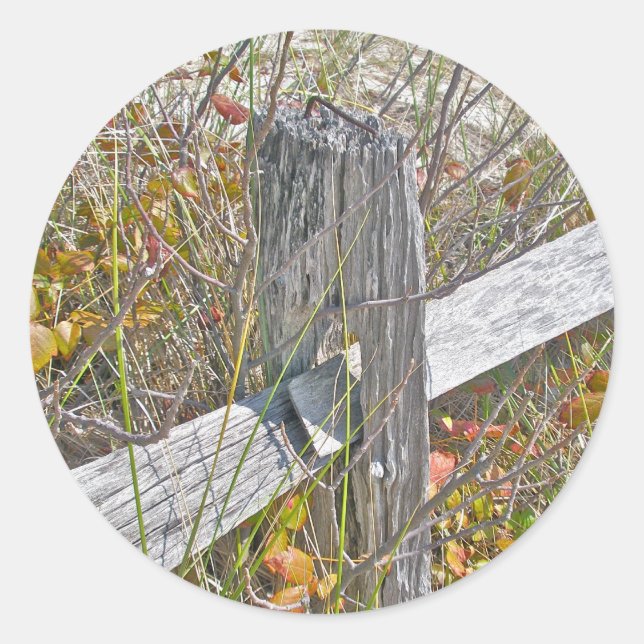 Zaun und Gift IBSP NJ-Koordinationsgegenstände Runder Aufkleber (Vorderseite)