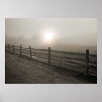 Zaun und Sonnenbrand durch Nebel bei Sharon