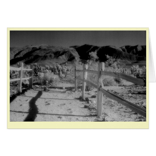 "Zäune " (Vorderseite (Horizontal))