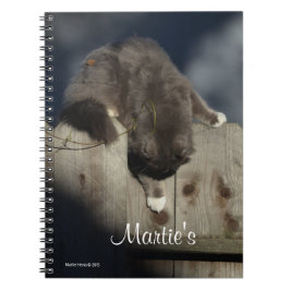 Zaunkatze (18) notizblock