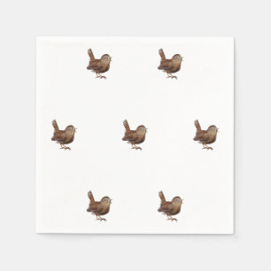 Zaunkönig singt laut und schönes Lied    Serviette