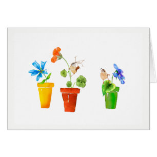 Zaunkönige und Flowerpots