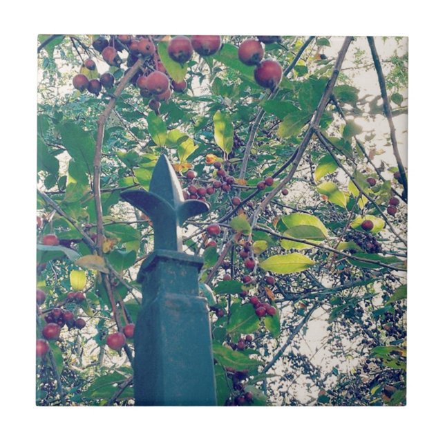 Zaunpost Fliese (Vorderseite)