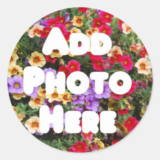 Zazzle Template Design Mein eigenes Foto Derzeitig Runder Aufkleber