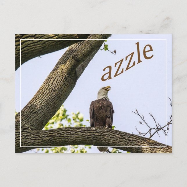 Zazzle Valley Visionen Postkarte (Vorderseite)