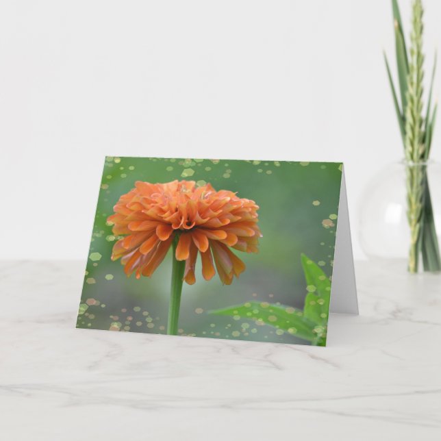 Zazzled Zinnia Note Card Karte (Vorderseite)
