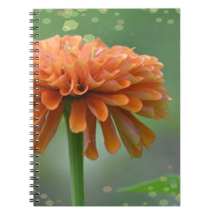 Zazzled Zinnia-Notebook Notizblock