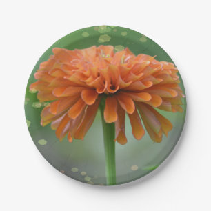 Zazzled Zinnia Papierplatte Pappteller