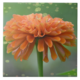 Zazzled Zinnia Tile Fliese
