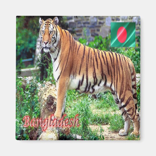 zBD006 The Royal Bengalisch Tiger, Bangladesch, Magnet (Vorne)