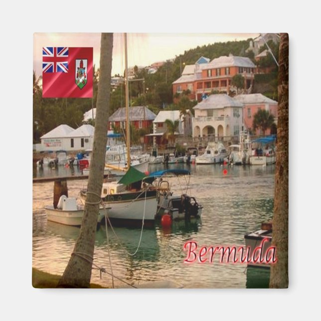 zBM007 BERMUDA, Flatts Village, Amerika, Kühlschra Magnet (Vorne)