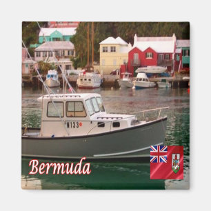 zBM008 BERMUDA, Flatts Village, Panorama, Kühlschr Magnet