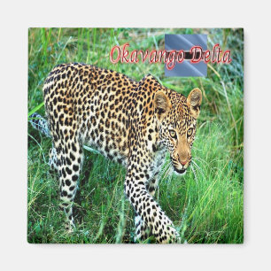 zBW007 OKAVANGO Delta, Ghepard BOTSWANA, Kühlschra Magnet