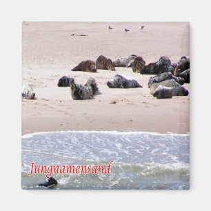 zDE106 JUNGNAMENSAND SIEGEL Frisischer Kühlschrank Magnet