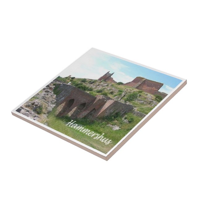 zDK006 HAMMERHSHUS, Friesen-Inseln, Fliese (Seite)