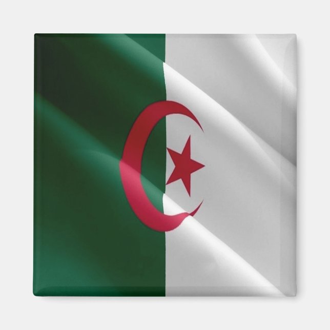 zDZ002 ALGERIA, Waving Flag, Afrika, Kühlschrank Magnet (Vorne)