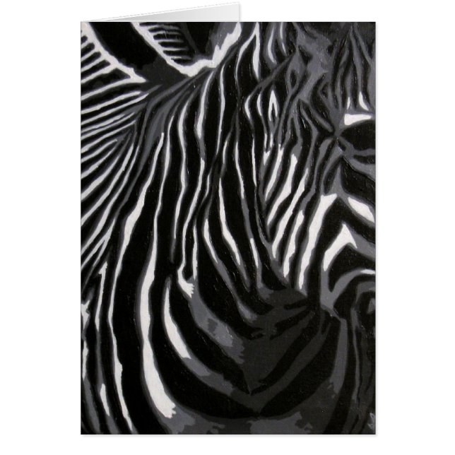 Zebra (Vorne)
