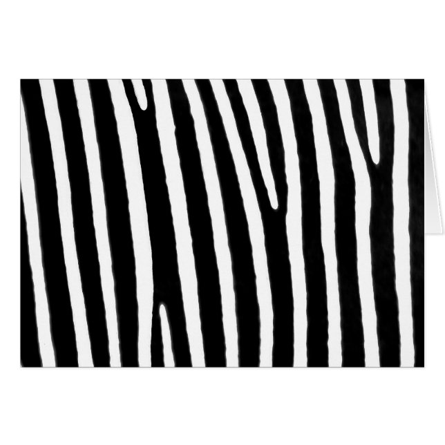 Zebra (Vorderseite (Horizontal))