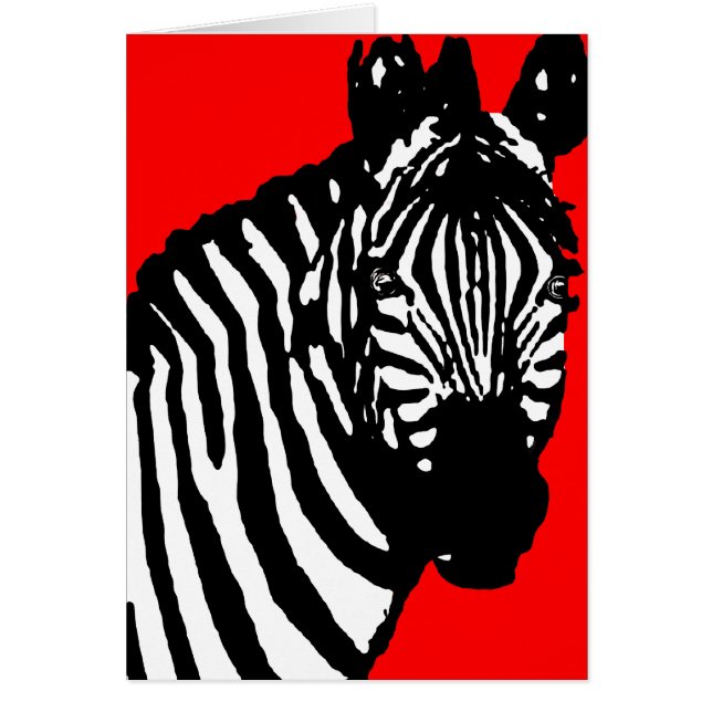 Zebra. (Vorne)