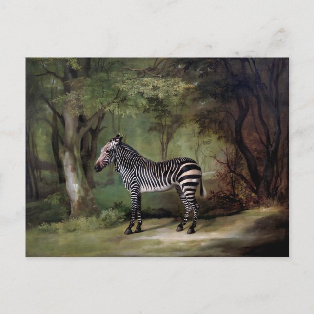Zebra (1763) Gemälde  Postkarte (Vorderseite)