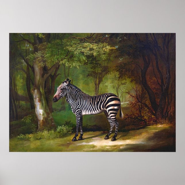 Zebra (1763) Gemälde von George Stubbs Poster (Vorne)