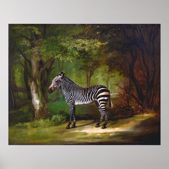 Zebra (1763) Gemälde von George Stubbs Poster (Vorne)
