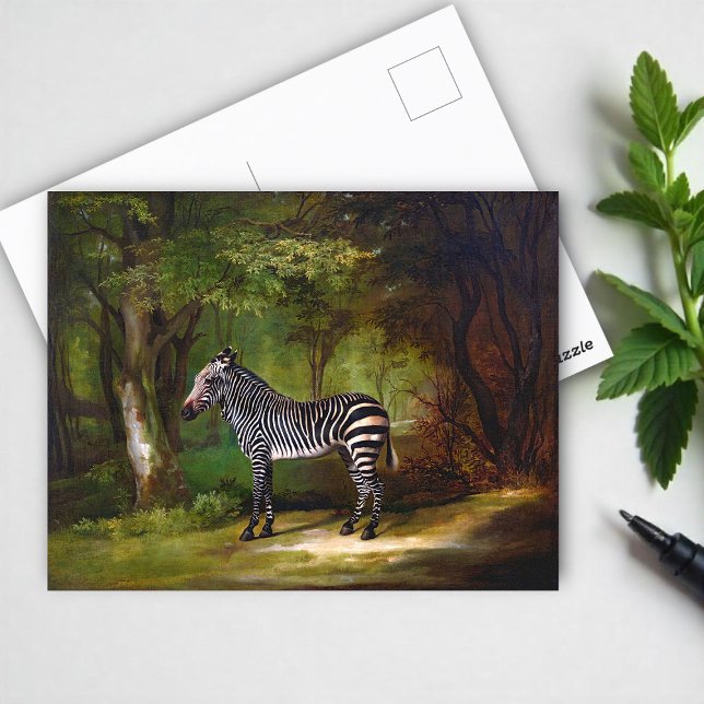 Zebra (1763) Gemälde von George Stubbs Postkarte (Von Creator hochgeladen)