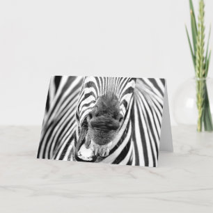 Zebra #1 Grußkarte Karte