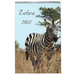 Zebra 2011 Single Kalender