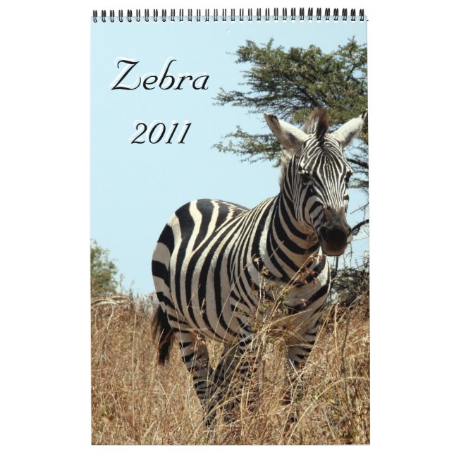 Zebra 2011 Single Kalender (Titelbild)