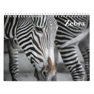 Zebra 2025 kalender