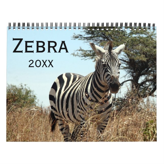 Zebra 2026 kalender (Titelbild)