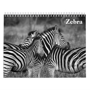 Zebra 2027 kalender