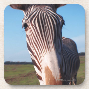 Zebra 2 getränkeuntersetzer