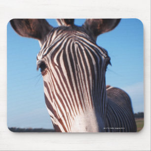 Zebra 2 mousepad