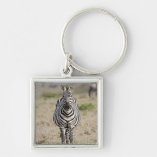 Zebra 2 schlüsselanhänger